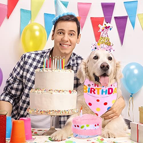 4 חתיכות כלב ילדה כלב תלבושת יום הולדת כלב יום הולדת 1 בנדנה עם כובע ושמלה סט, ציוד מסיבת יום הולדת